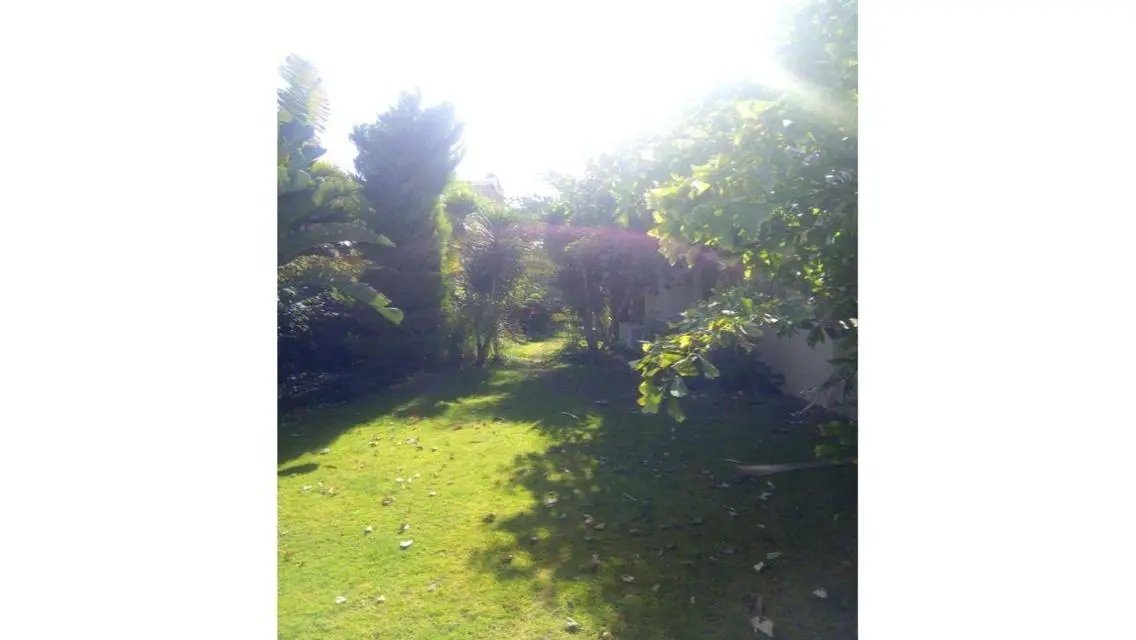 Luxurious Apartment with Spacious Areas at Attractive Prices