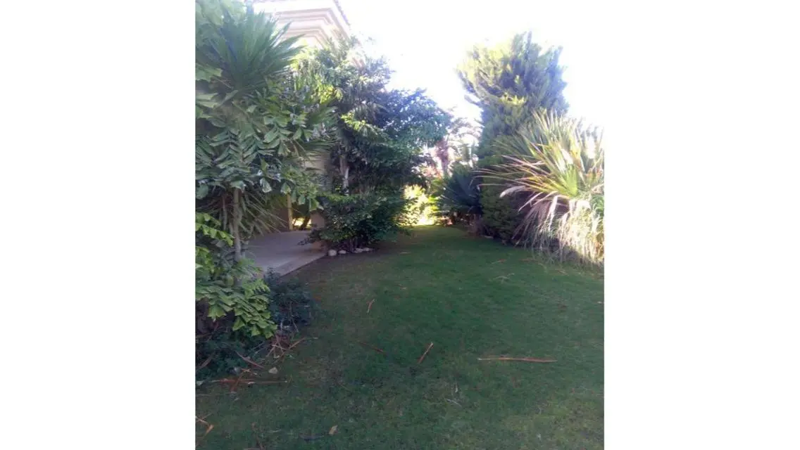 Luxurious Apartment with Spacious Areas at Attractive Prices