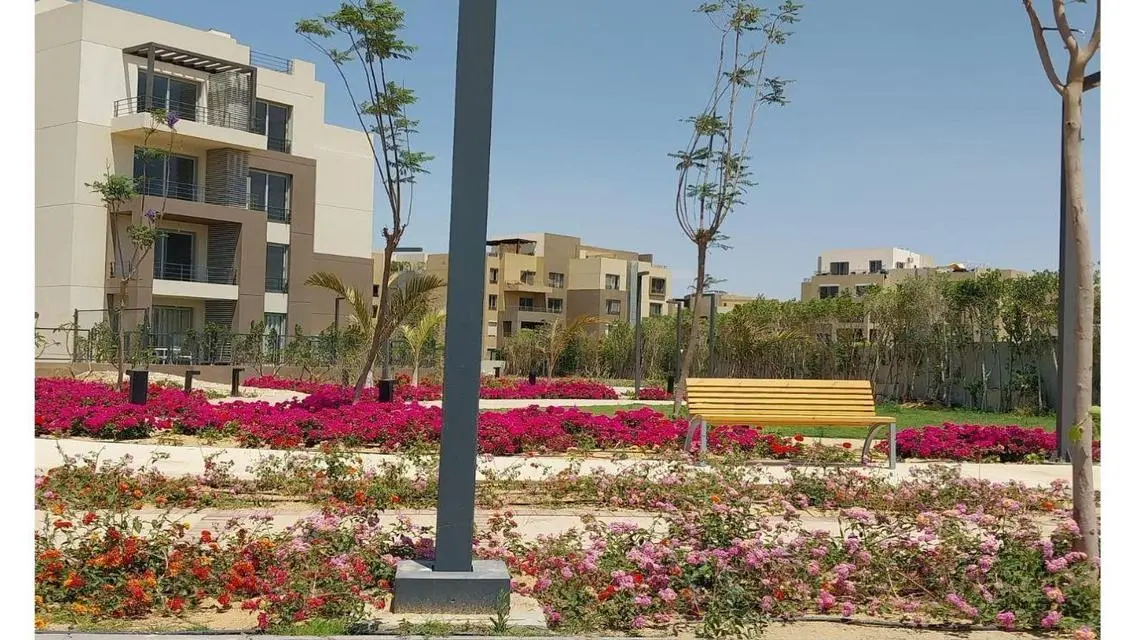Luxury Apartment for Rent with Premium Amenities