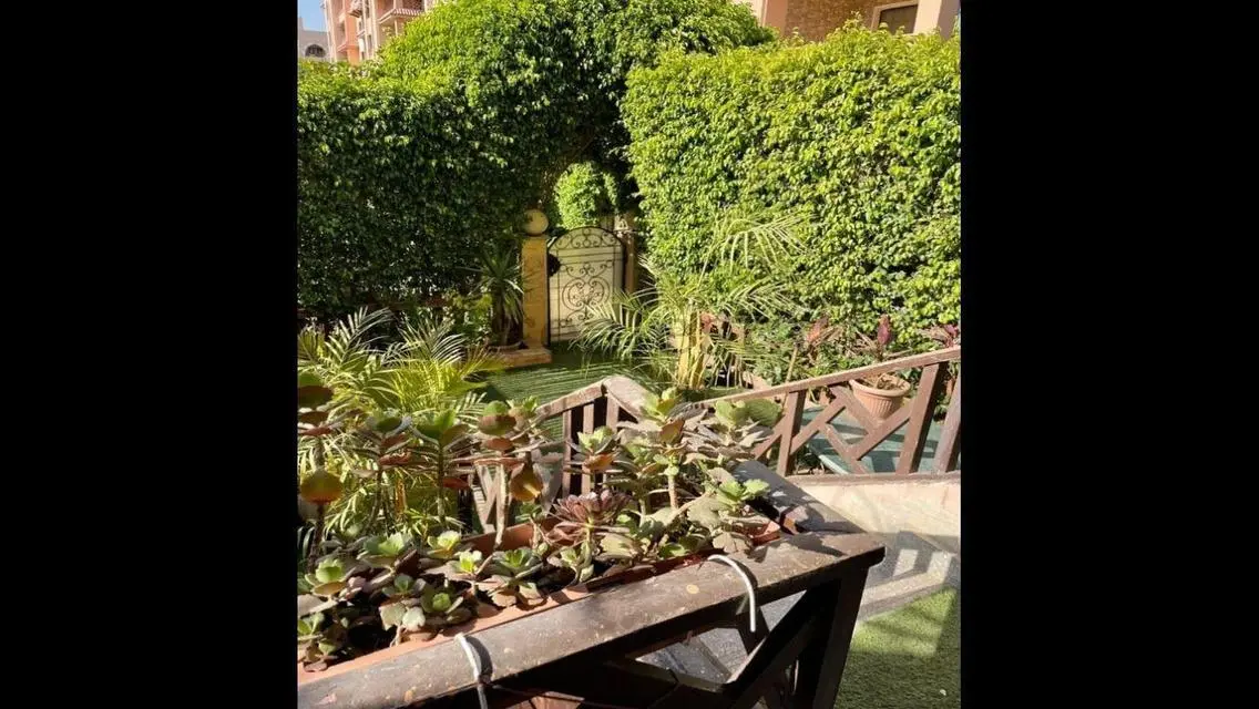 Luxury Apartment with Amenities in the Heart of the City