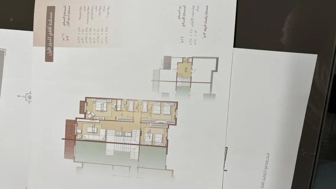 Luxurious Twin House for Sale