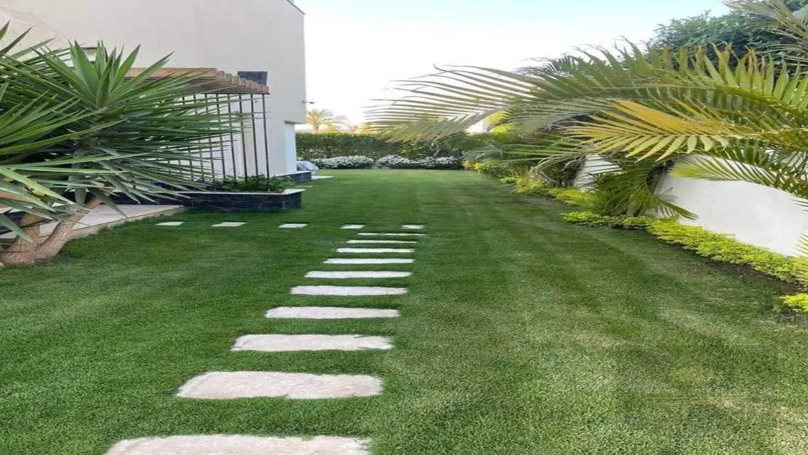 شقة مميزة بمساحة 7 متر للبيع