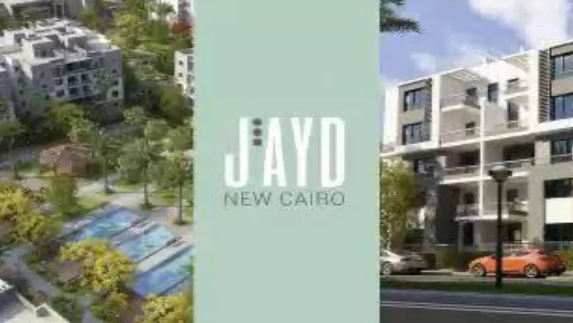 Luxurious Apartment in Cairo's Elite Area