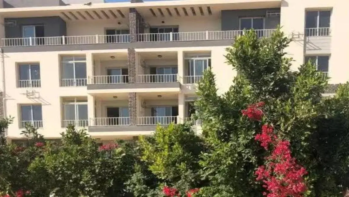 Luxurious Apartment in Cairo's Elite Area