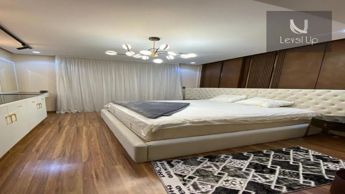 Luxury Apartment for Rent with Spacious Design