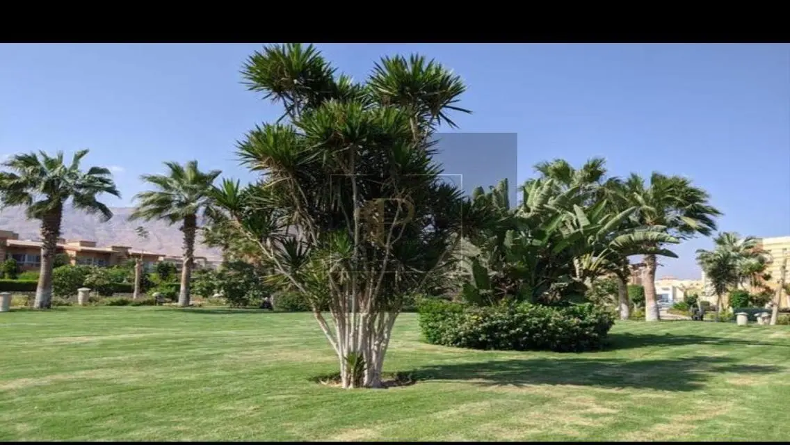 Luxury Apartment for Sale in a Prime Location