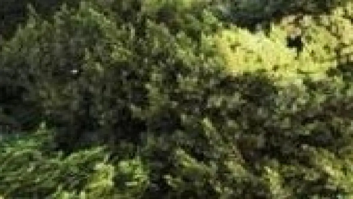 شقة فاخرة للبيع بمساحة واسعة