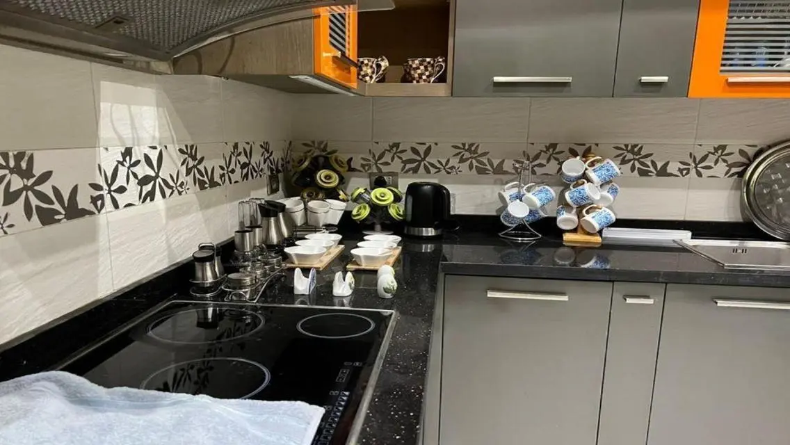 Luxury Apartment with All Amenities