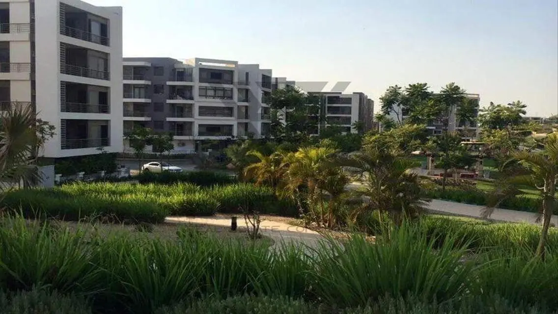 Luxury Apartment in Madint Masr with All Amenities