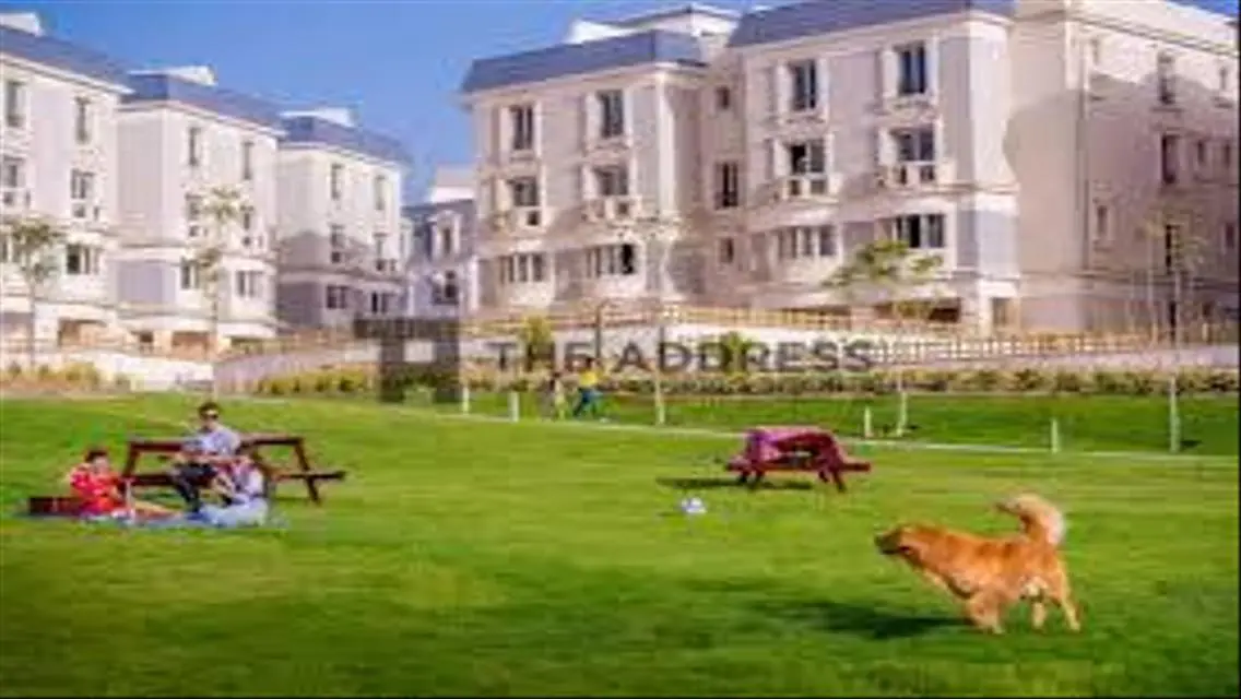 Luxurious Apartment with Spacious Living and Stunning Views