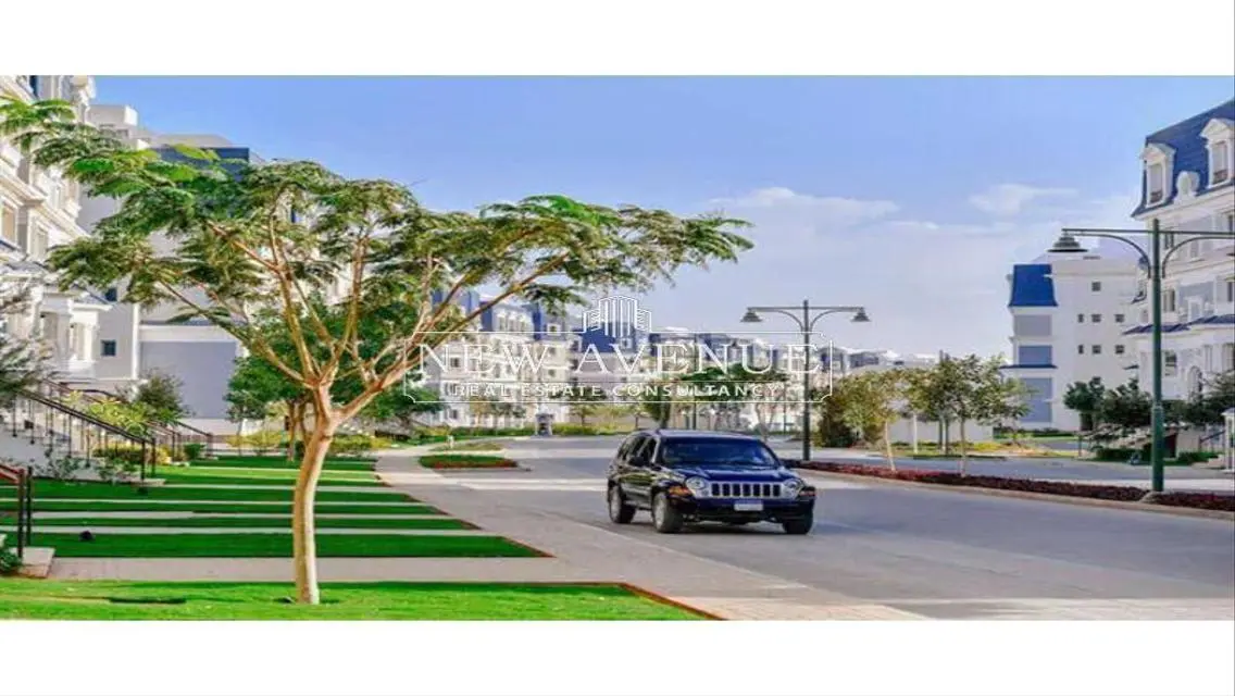 Luxury Apartment for Rent with Spacious Area