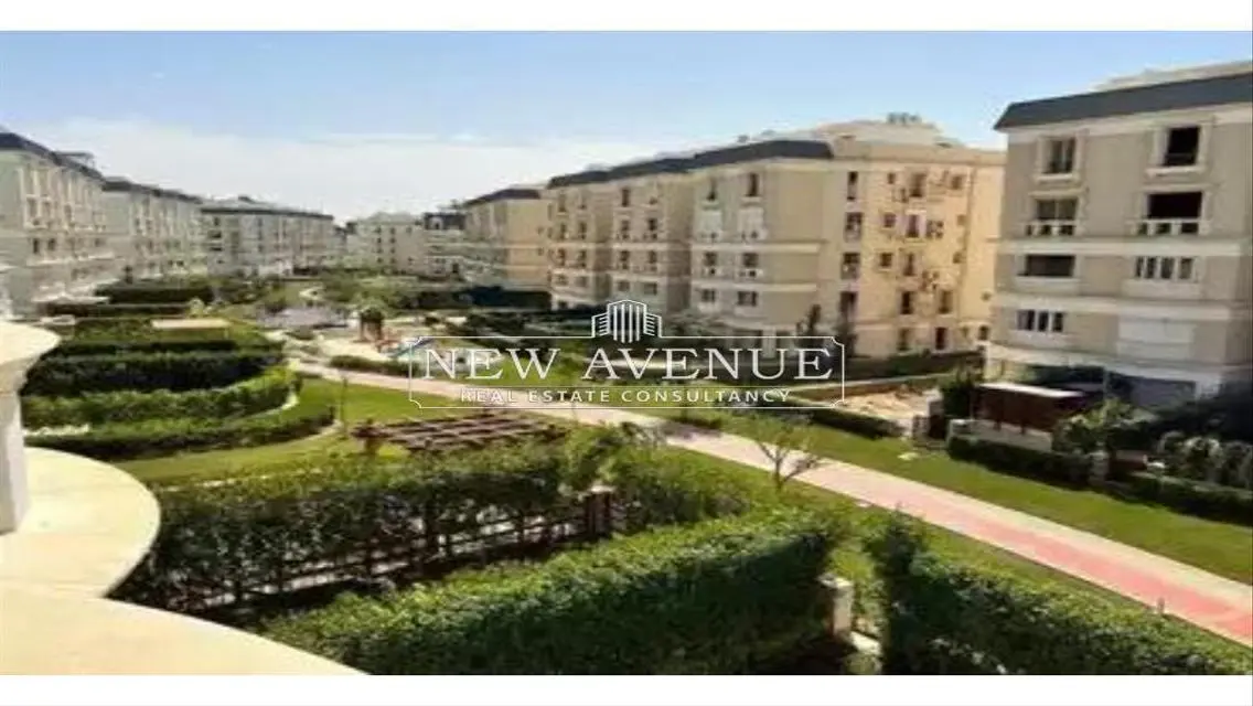 Luxury Apartment for Rent with Spacious Area