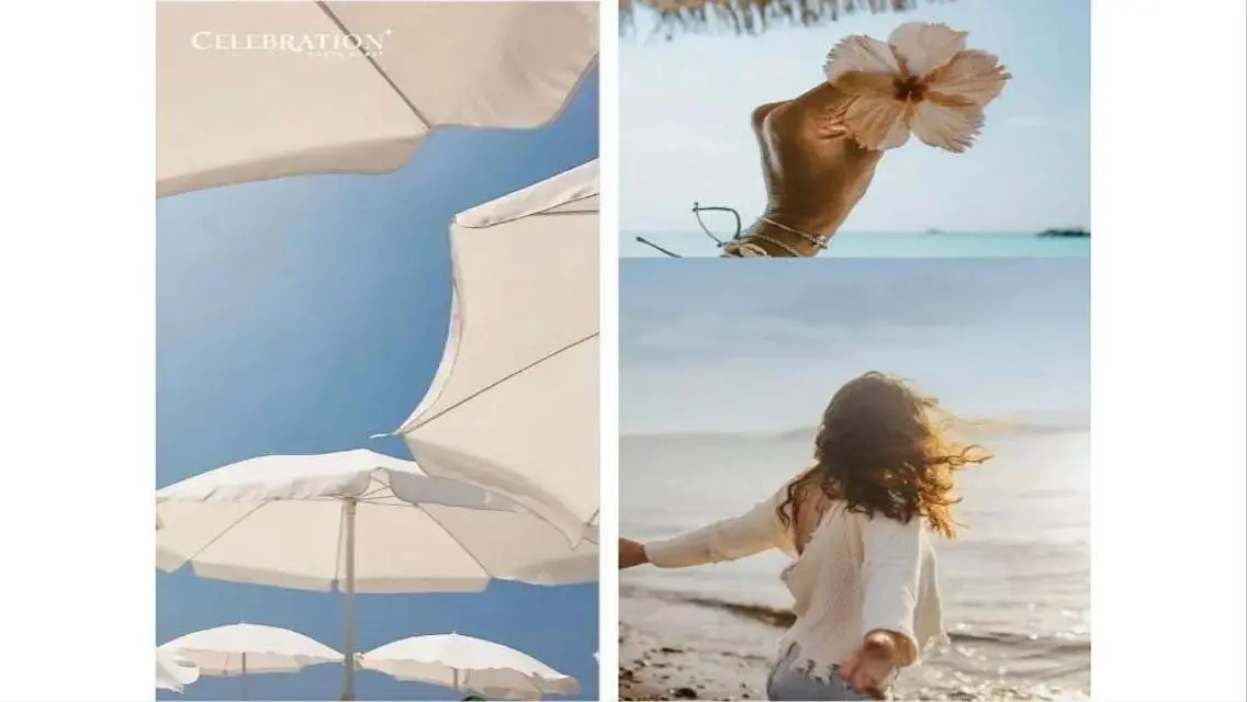 Pay 237 Thousand and Own a Chalet Directly on the Sea
