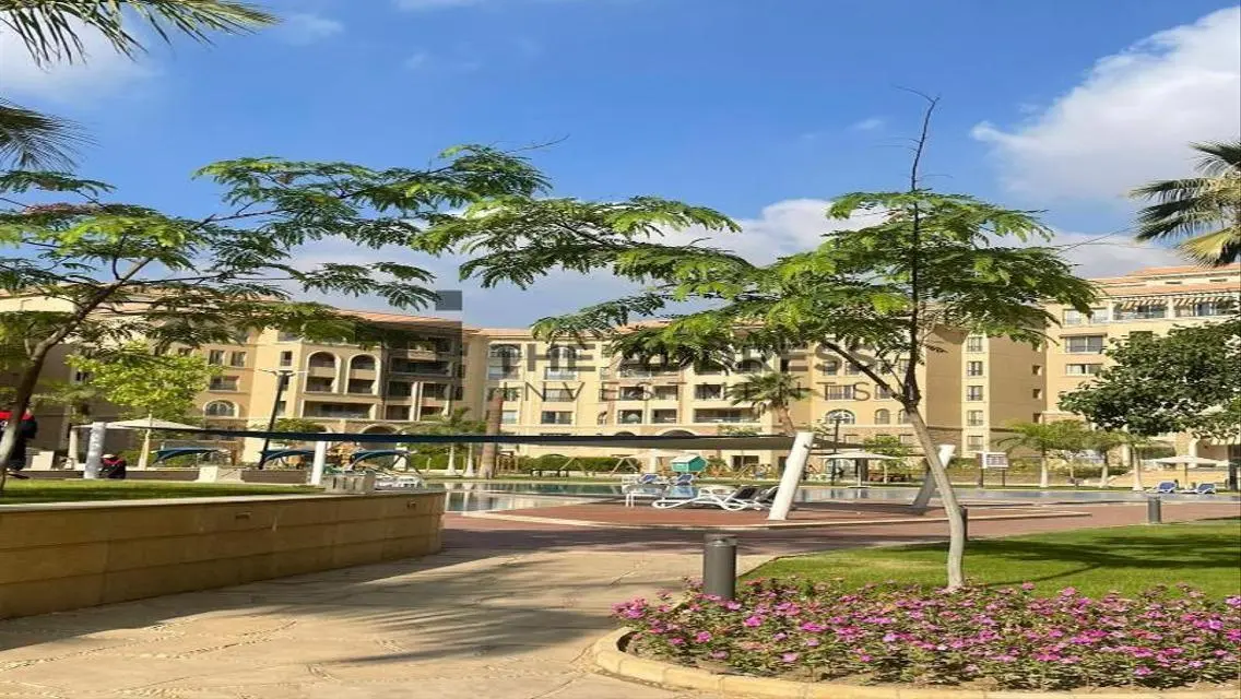 Luxury Apartment in AUC with Modern Design
