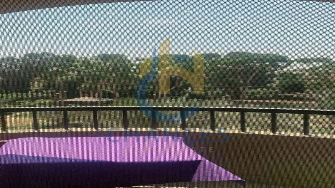 فرصة استثمارية رائعة بعمارة 250 متر في فرص العقارات