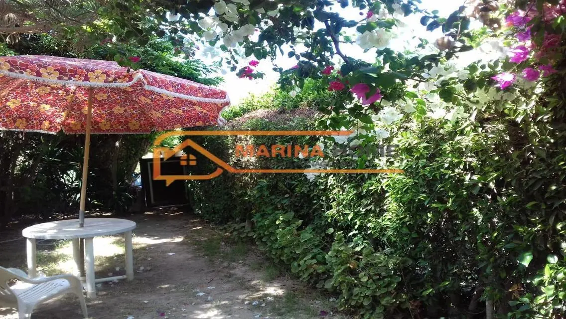 استوديو بمساحة 2 في مارينا 2 - فرصة استثمارية رائعة