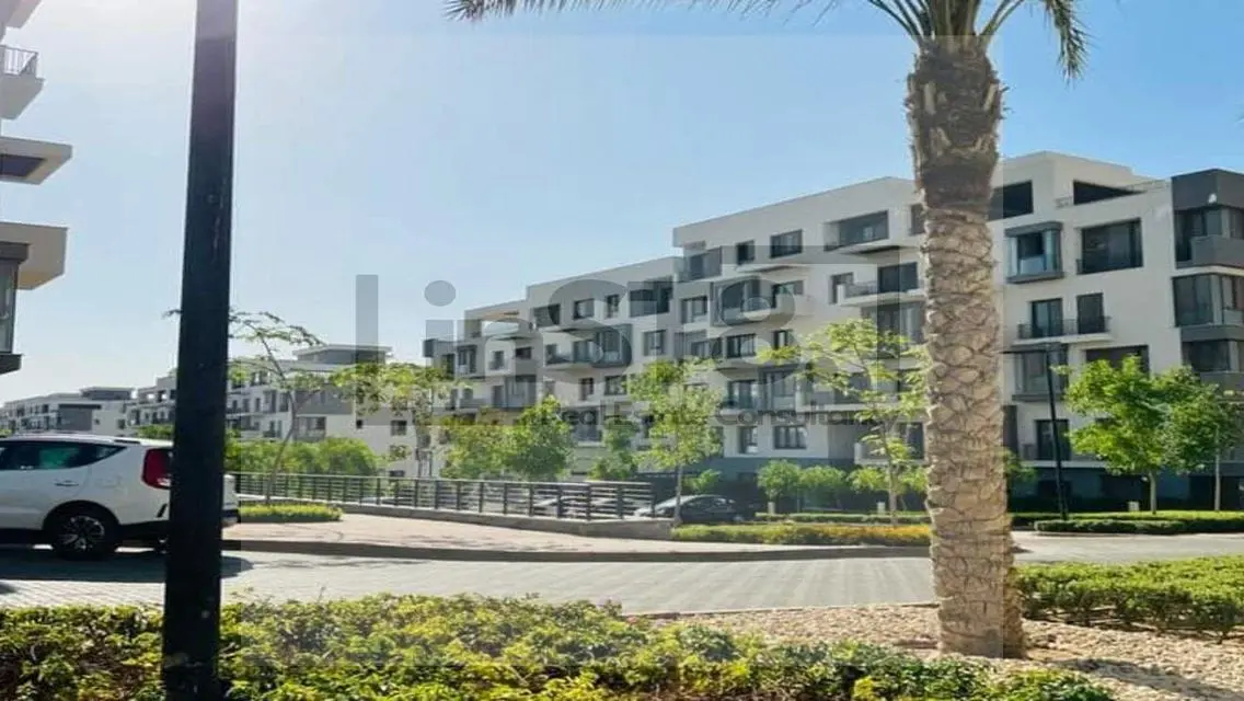 Luxury Apartment with 245m Space and Amazing Amenities