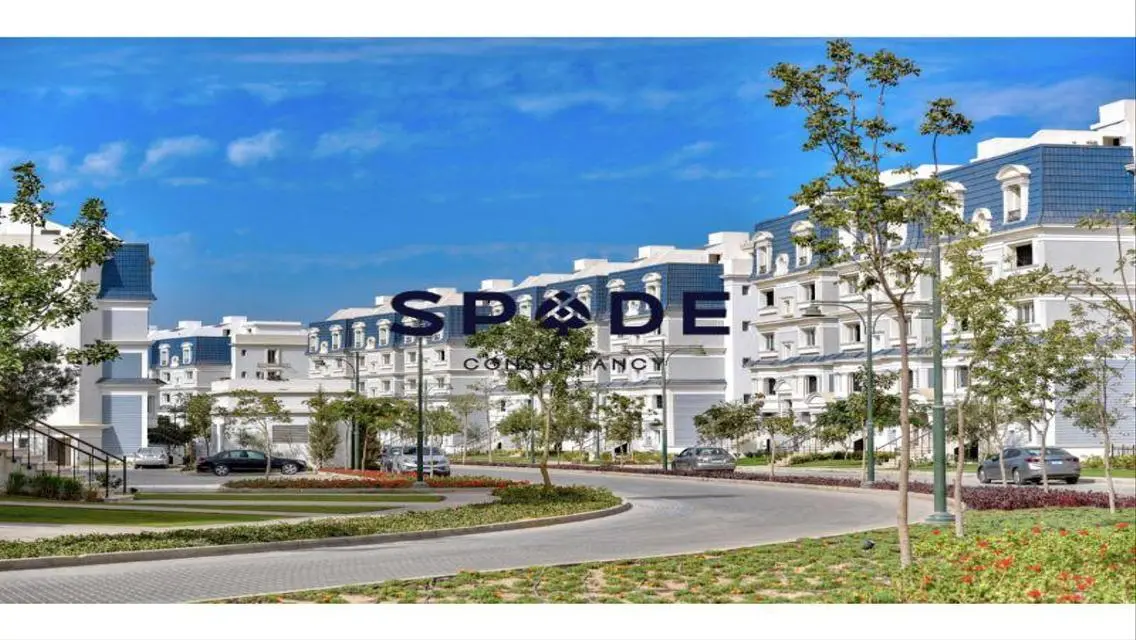 Luxurious Apartment in Spade