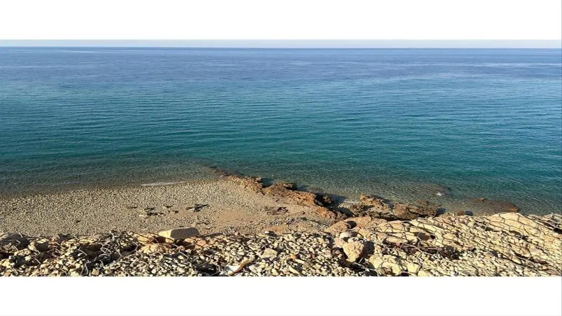 فيلا فاخرة مع حديقة ومسبح مشترك في تل العمار