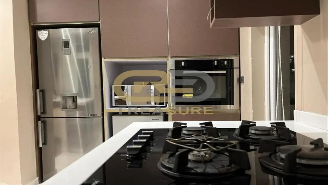 Luxury Apartment with 55 sqm in TREASURE Area