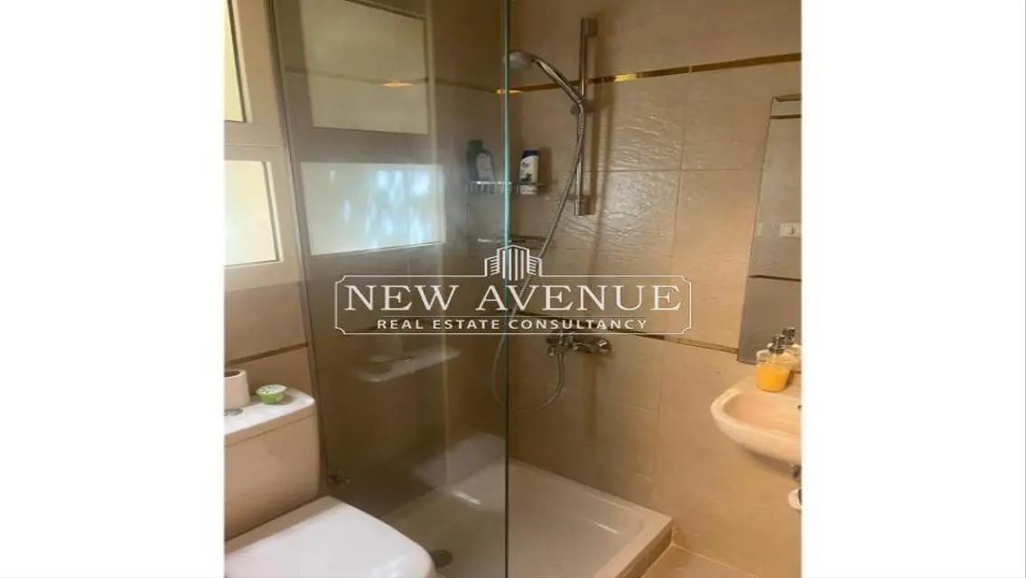 Luxurious Apartment in a Prime Location