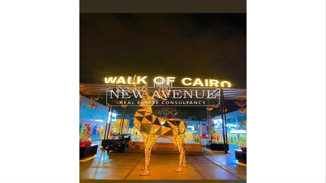 Walk of Cairo Apartment 101