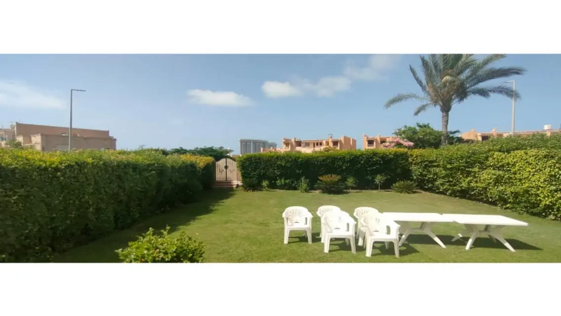 Luxury Apartment for Sale in Marina 7