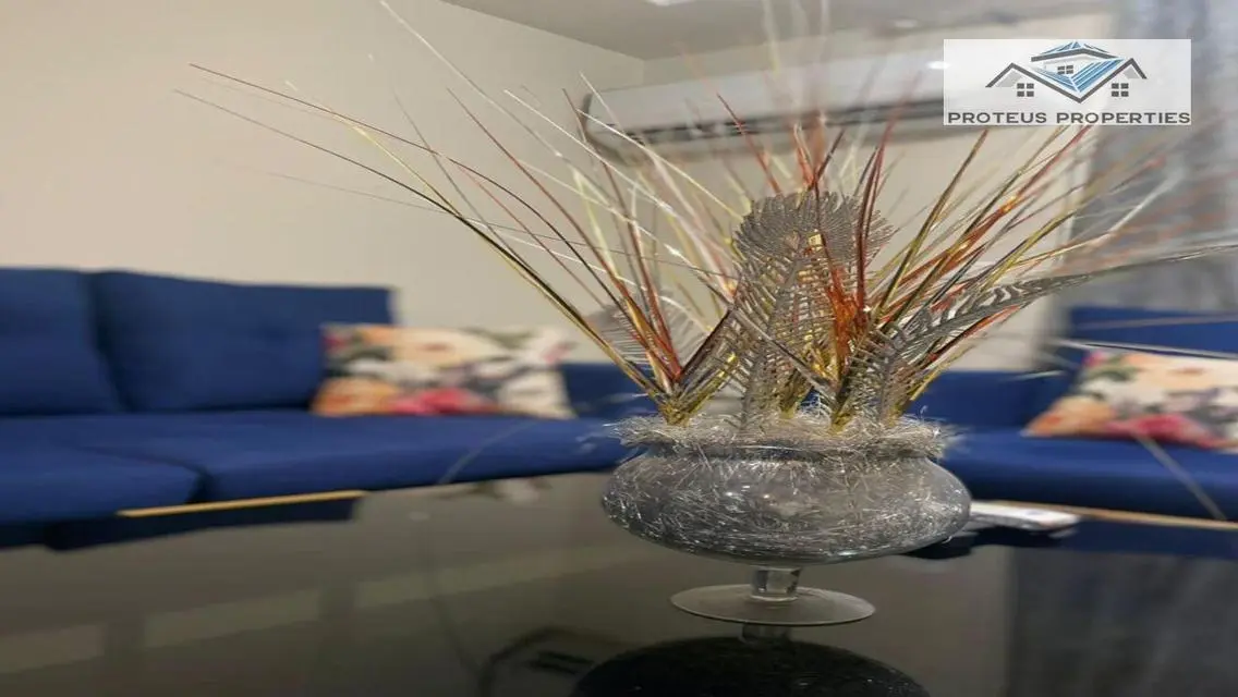 Luxurious Apartment for Rent in B7
