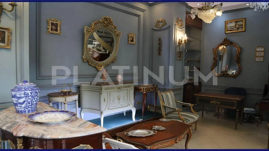 Luxury Apartment for Sale in the Heart of the City