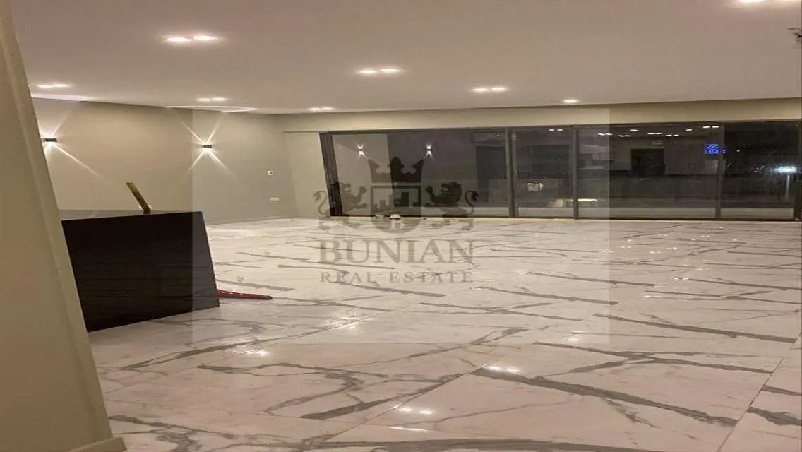 Luxury Apartment in the Heart of the City