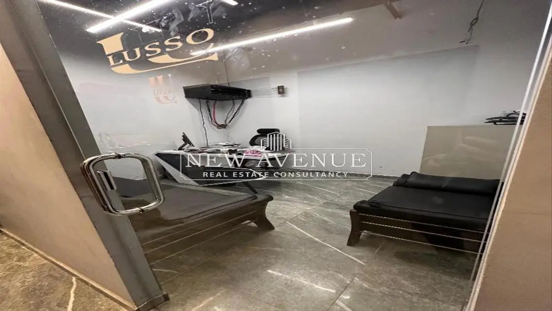 Luxury Apartment with 250 sqm in the Heart of the City
