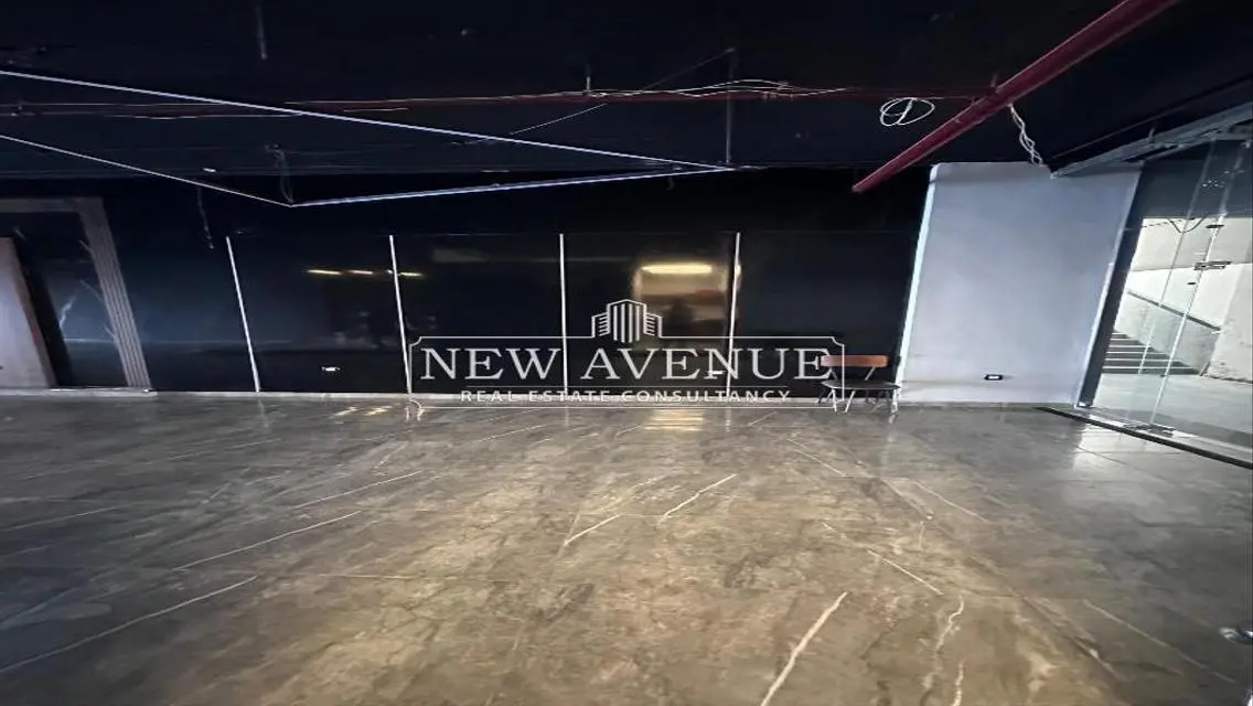 Luxury Apartment with 250 sqm in the Heart of the City