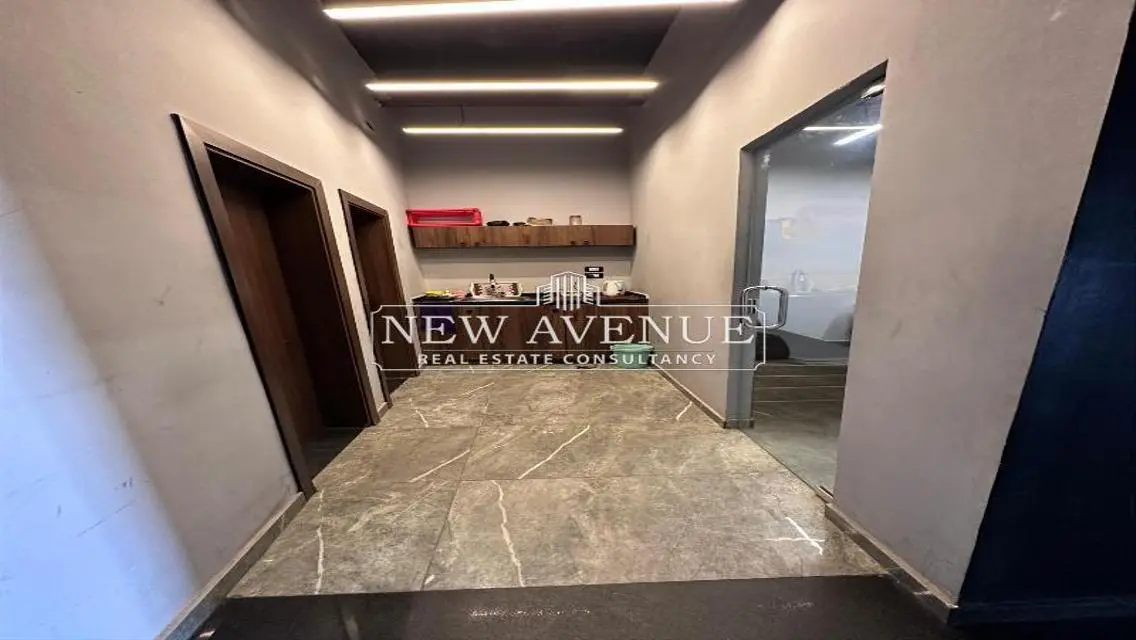 Luxury Apartment with 250 sqm in the Heart of the City