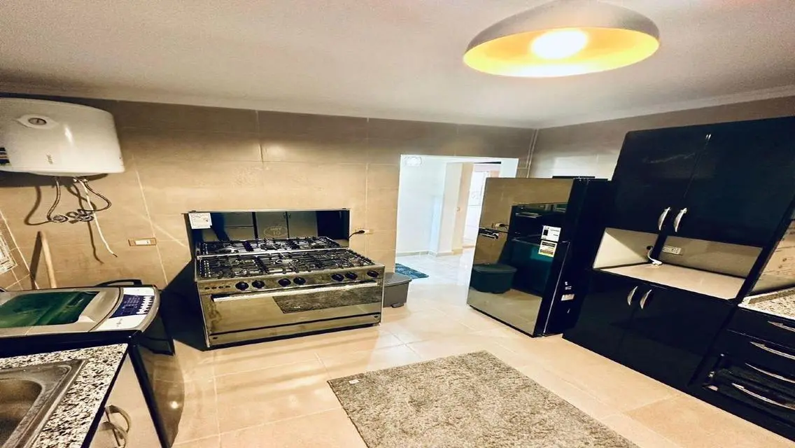 Furnished Apartment for Rent in Zayed Regency