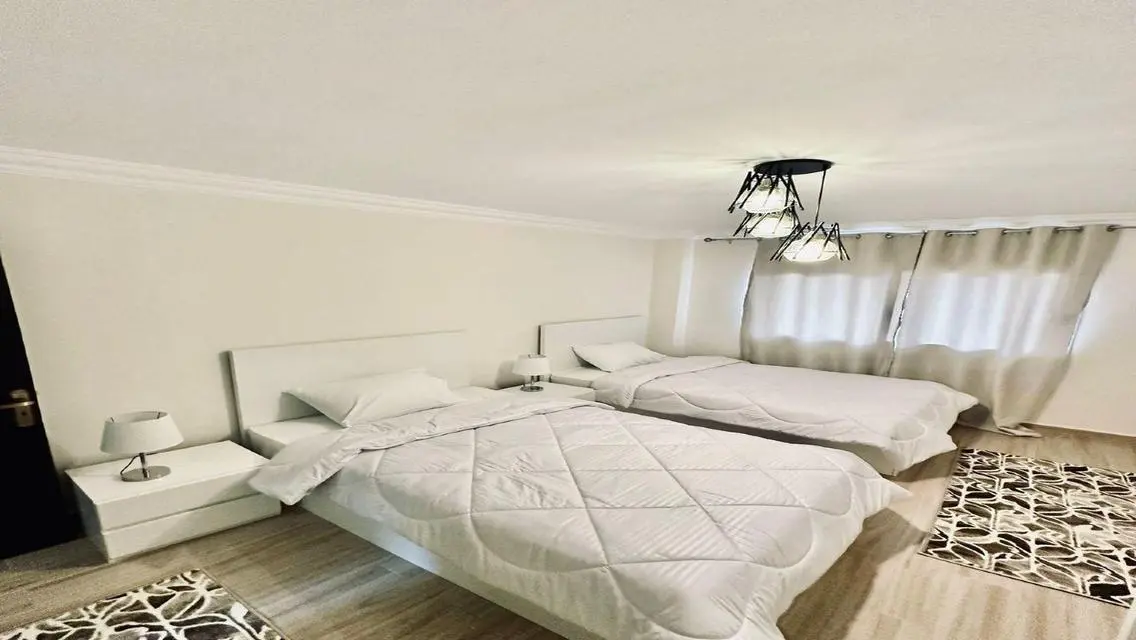 Furnished Apartment for Rent in Zayed Regency