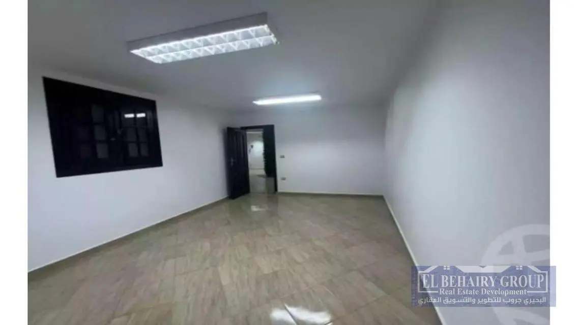 Stunning Apartment Available for Rent in Downtown