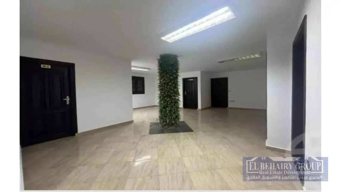 Stunning Apartment Available for Rent in Downtown