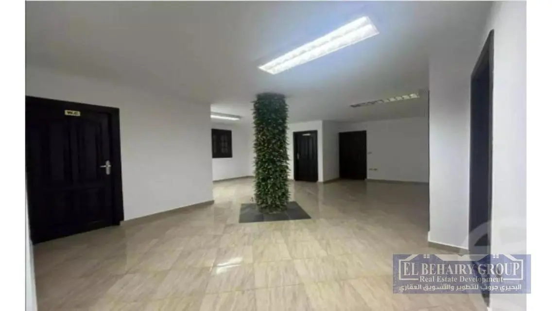 Stunning Apartment Available for Rent in Downtown