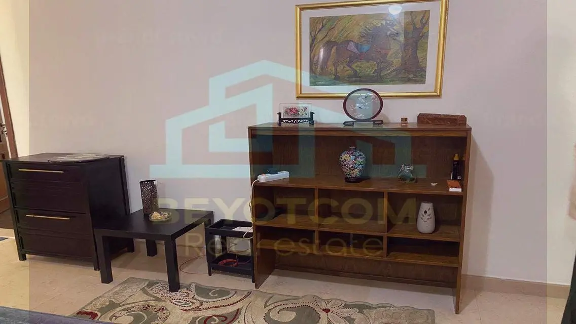شقة رائعة مع مناظر جميلة في قلب المدينة