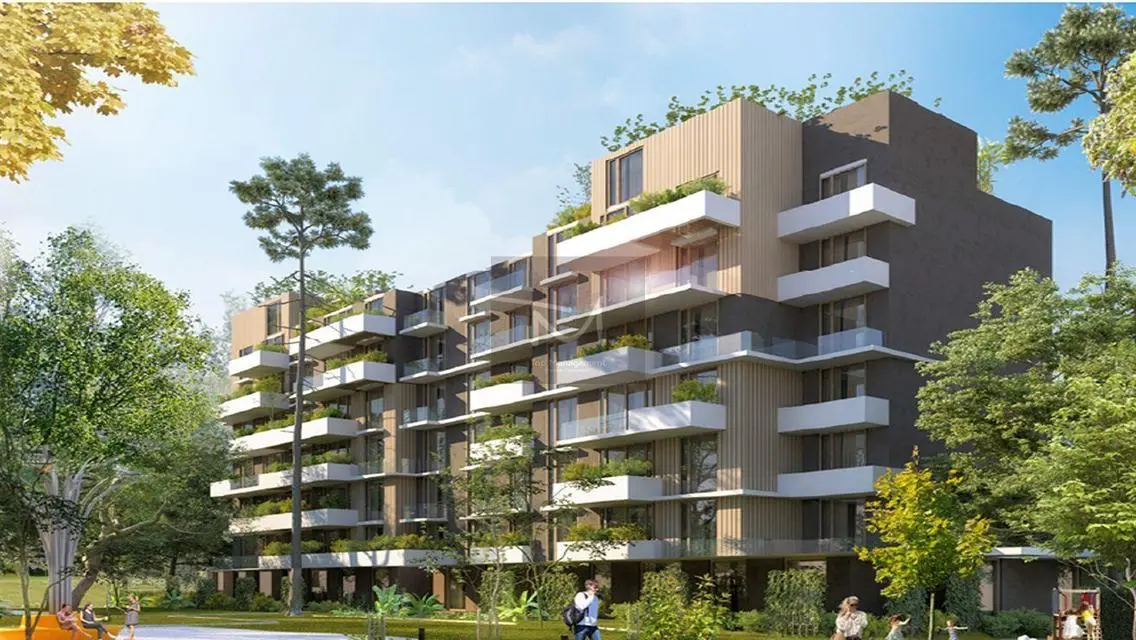 Luxury Apartment in AUC with Pool and Full Amenities