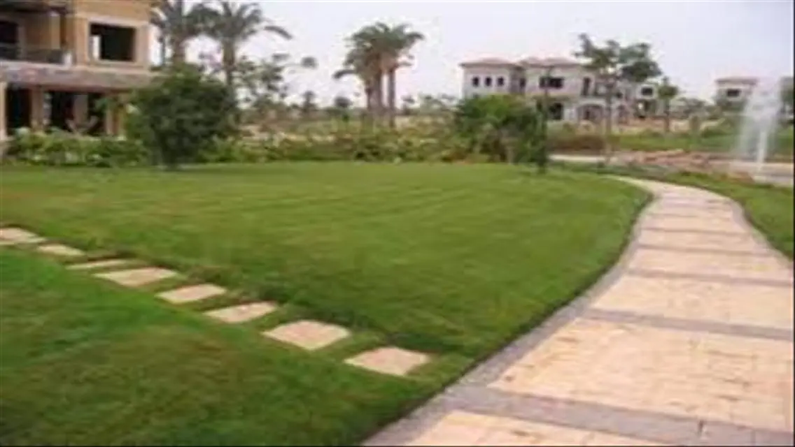 Luxury Apartment in Concorde Plaza