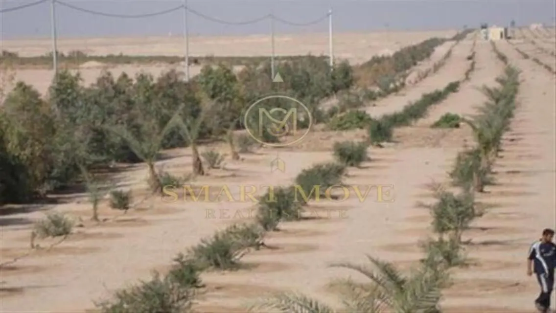 Premium Property for Sale
