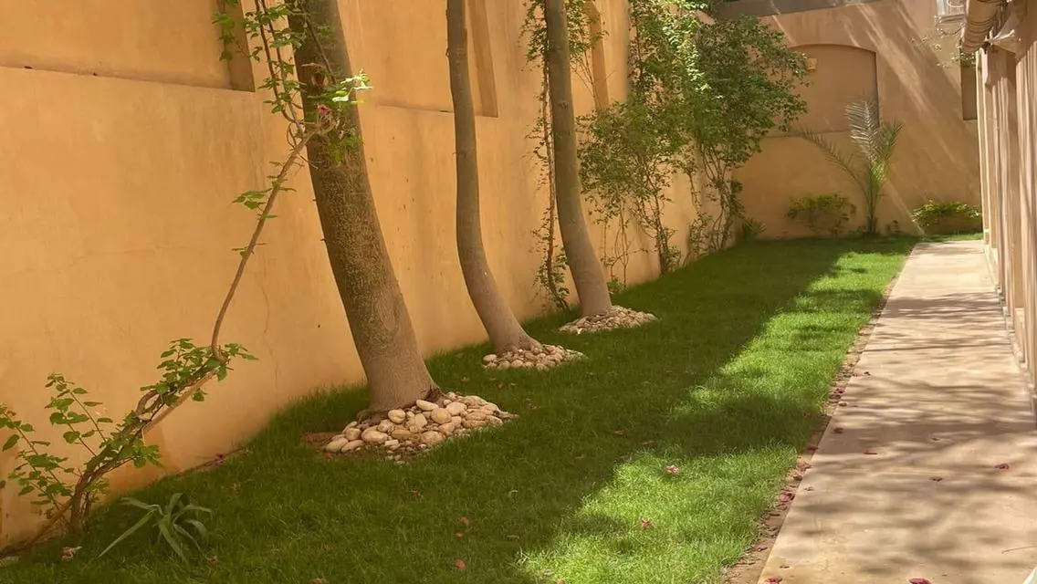 Luxury Villa in Cairo Festival City