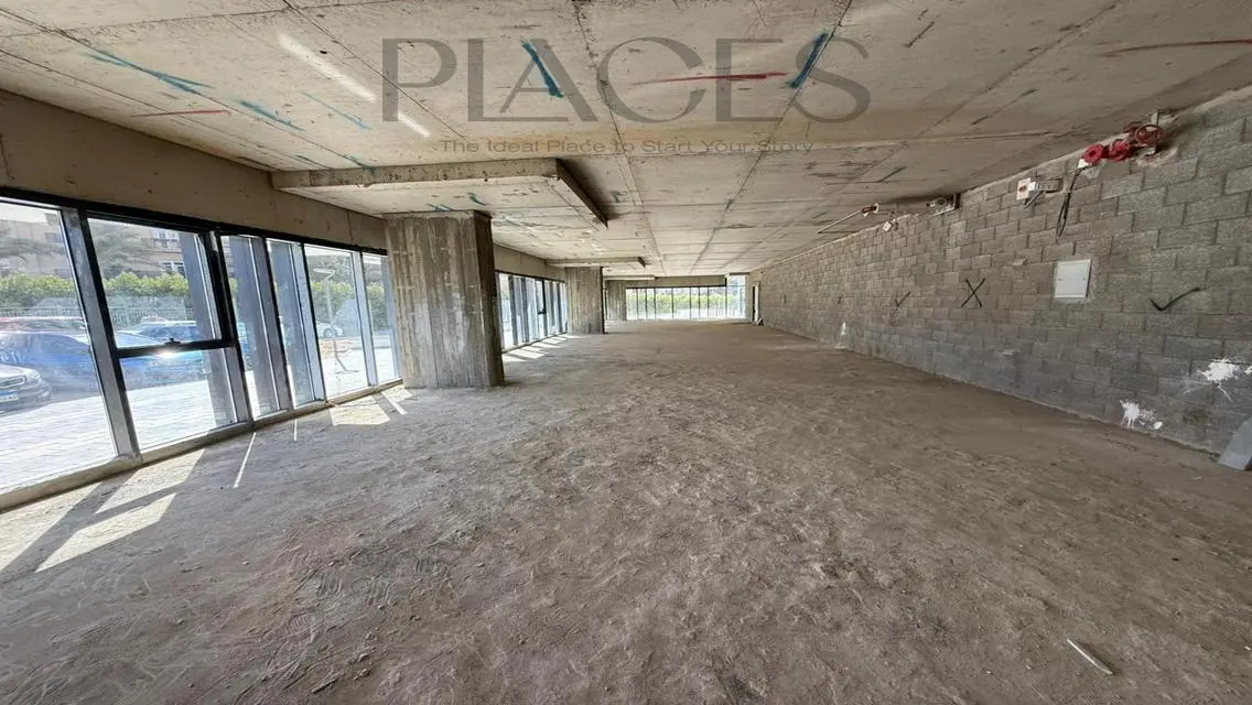 317 Hyde Park