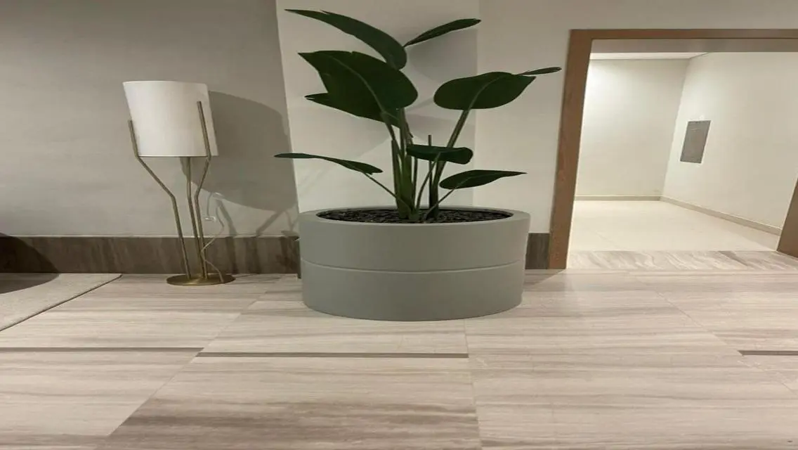 Luxury Apartment for Rent at an Attractive Price