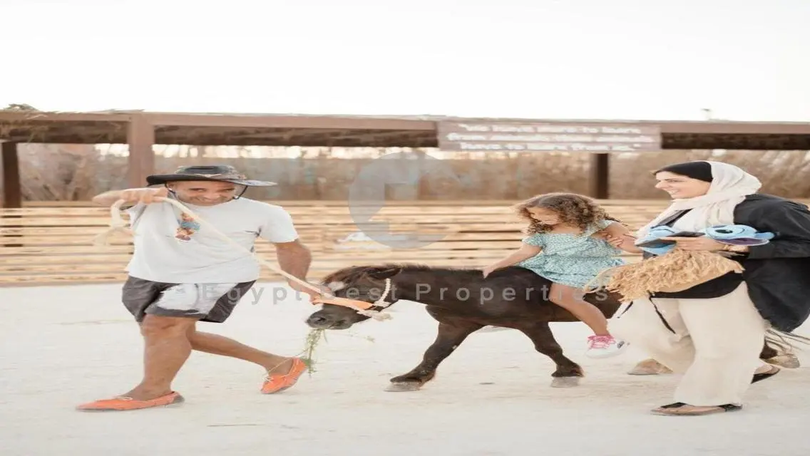شقة مطلة على البحر مع جميع المرافق