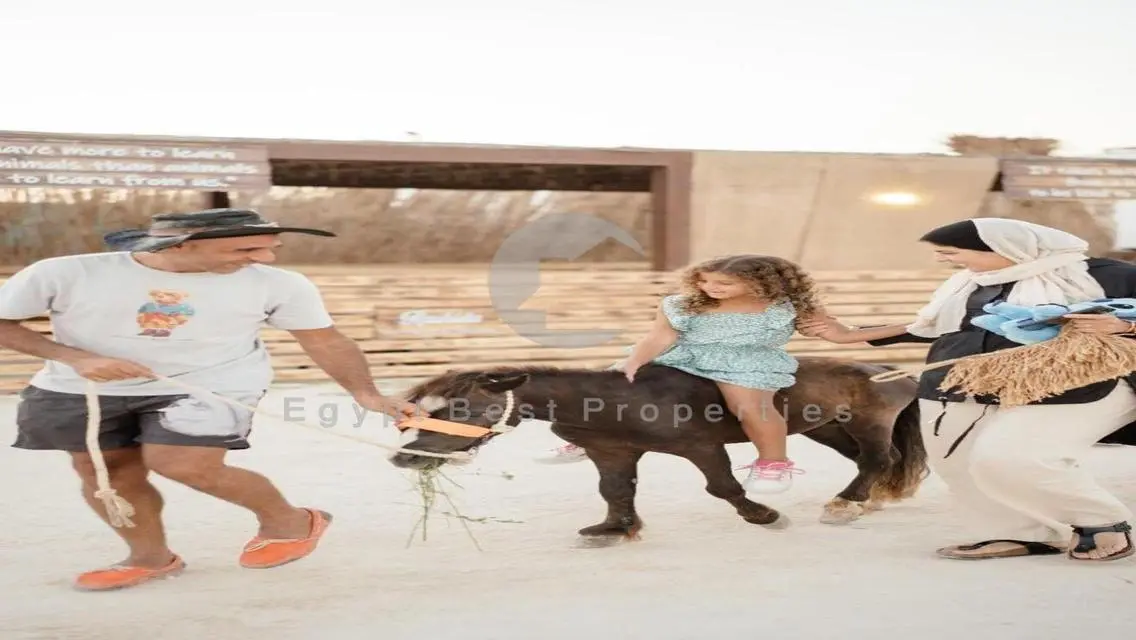 شقة بإطلالة بحرية فاخرة