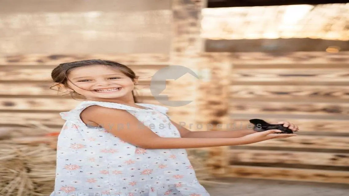 شقة بإطلالة بحرية فاخرة