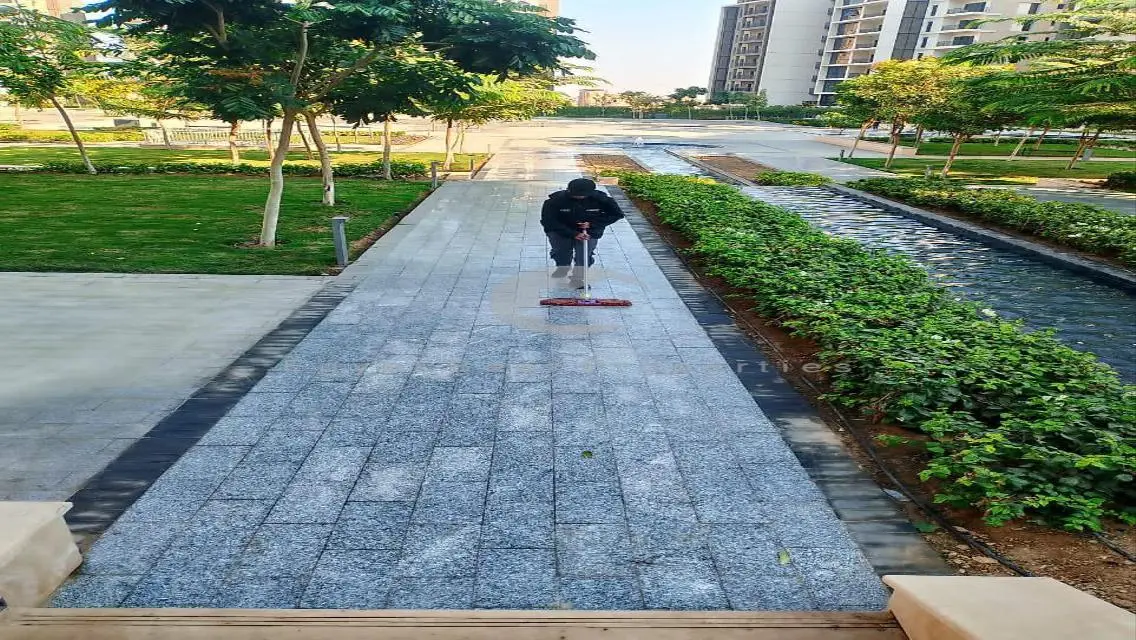 Zed Towers - Zayed 165