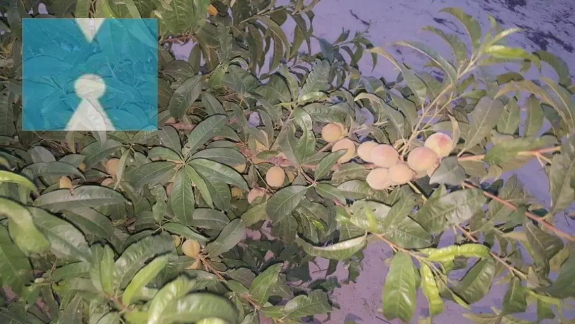 شقة فاخرة للبيع في Evergreen